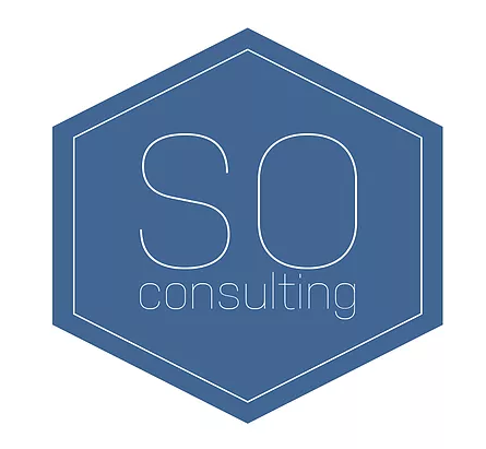 Success Oriented Consulting