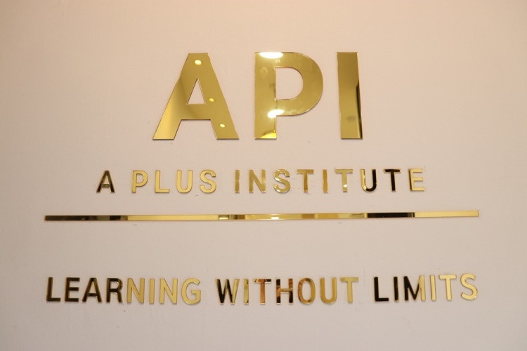 API Language Institute