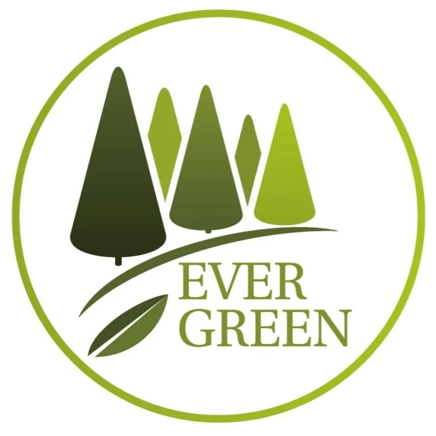 Evergreen Language School