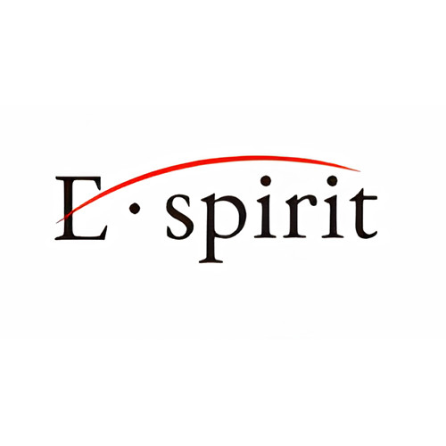 E Spirit English Language Institute Seocho